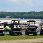 golf cart batteries