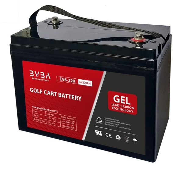 EV6-220 Electric Vehicle GEL Battery