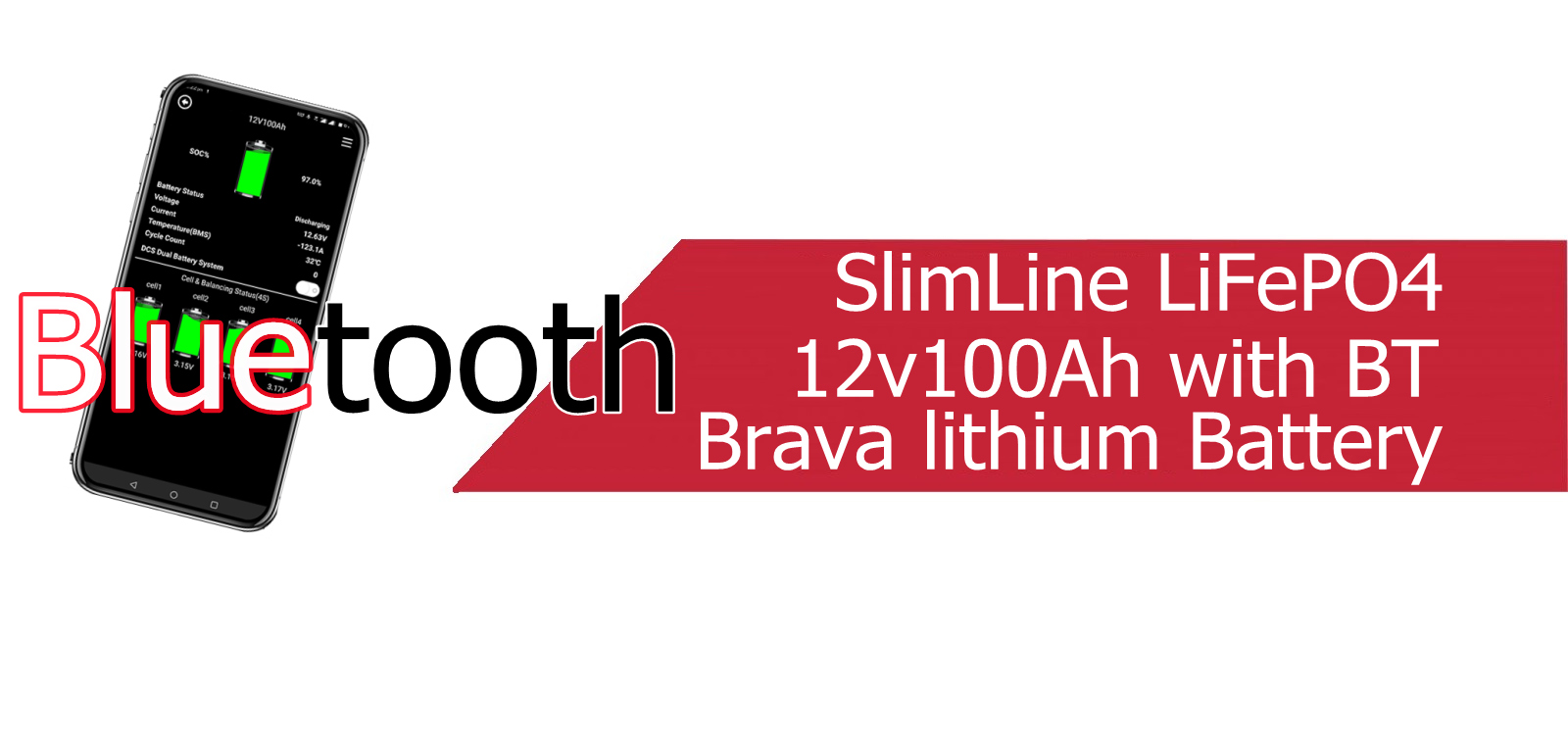 brava lifepo4 battery