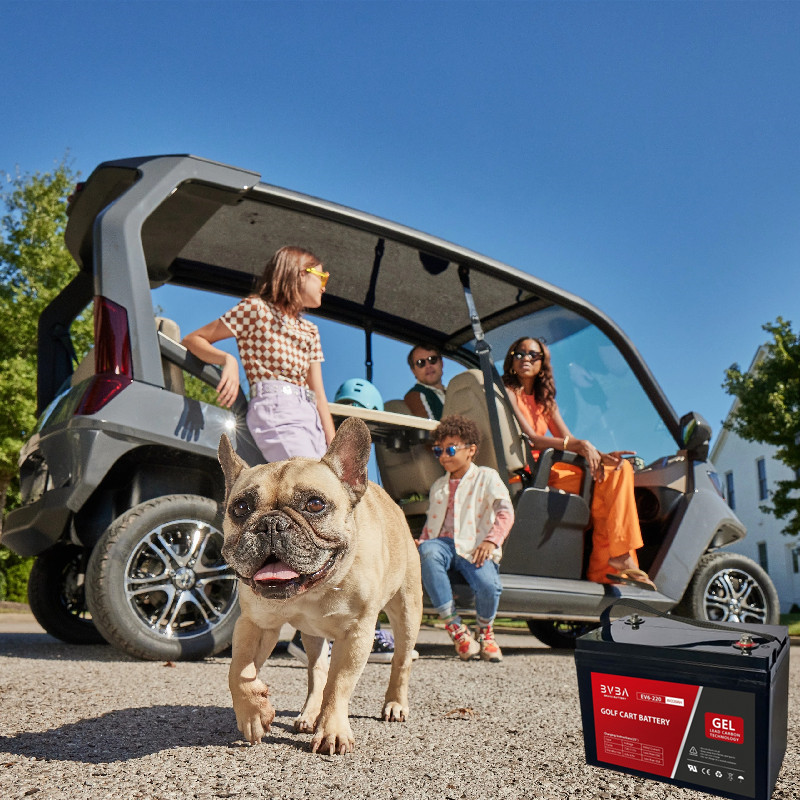 Golf Cart Batteries