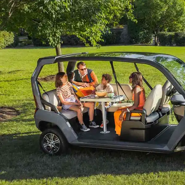 Deep cycle gel battery in Golf Cart