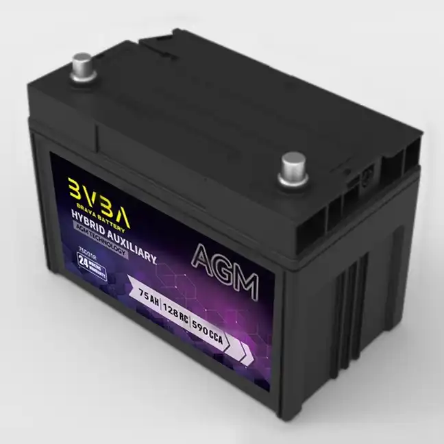 S75D31R Hybrid Battery