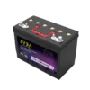 27M-700 Dual purpose battery