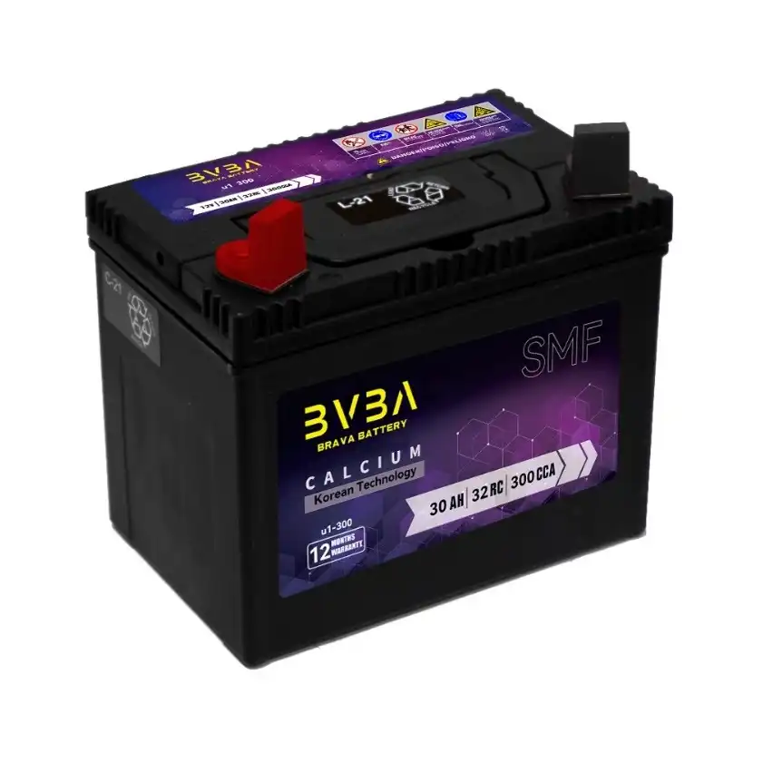 Professional 6-QW-45 12V 45Ah maintenance free car battery from